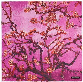 Cashmere scarves Almond Blossom